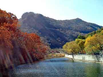 新澳天天开奖资料大全旅游团，跆拳道太子妃